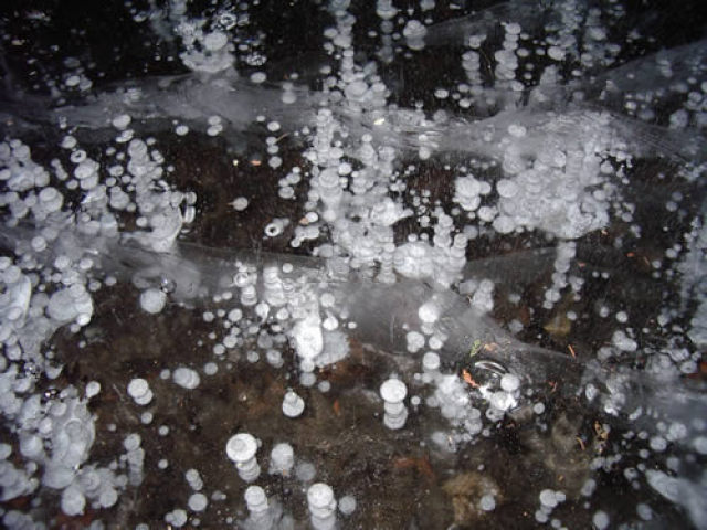 Photo of bubbles in ice