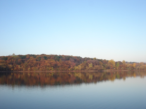 Jamaica Pond in Color
